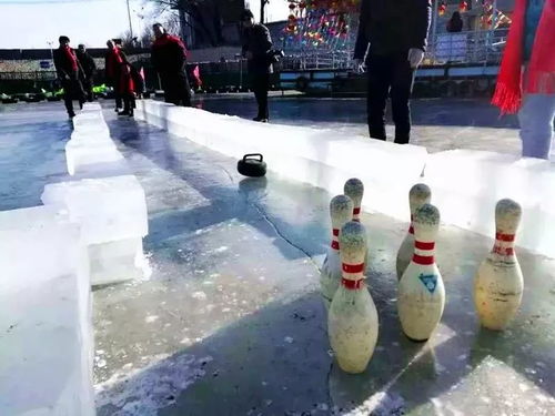 未来公民两日营 1.8 9 冰雪营地奥运会 赛龙舟 冰壶保龄球 雪地攻防箭 雪上飞碟 雪合战